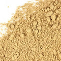 Milk Thistle Seed Powder