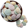 Pastel Mini Nonpareils - NY Spice Shop