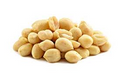 Roasted Unsalted Blanched Peanuts