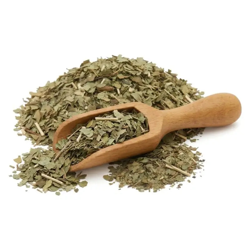Sassafras Leaf - NY Spice Shop