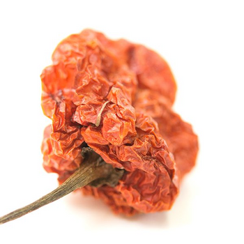 Dried Scotch Bonnet Peppers-NY Spice Shop