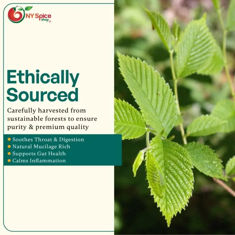 Slippery Elm Bark - Cut & Sifted - NY Spice Shop