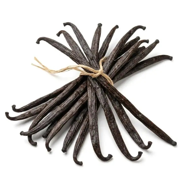 Vanilla Beans - NY Spice Shop