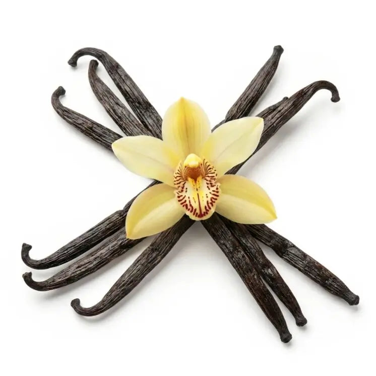 Vanilla Beans - NY Spice Shop