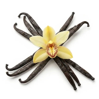Vanilla Beans - NY Spice Shop