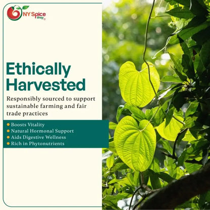 Wild Yam Root - Cut & Sifted - NY Spice Shop