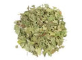 Witch Hazel Leaf