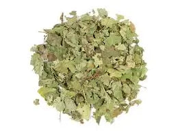 Witch Hazel Leaf - NY Spice Shop