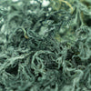 Irish Sea Moss (Green) - St. Lucia - NY Spice Shop