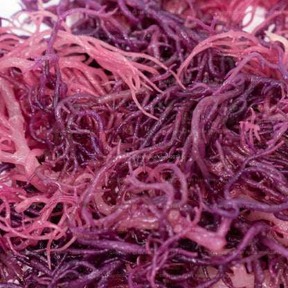 Irish Sea Moss - (Purple) - St. Lucia - NY Spice Shop