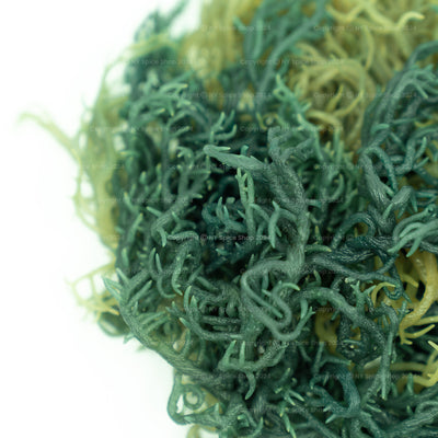 Irish Sea Moss (Green) - St. Lucia - NY Spice Shop