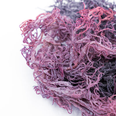 Irish Sea Moss - (Purple) - St. Lucia - NY Spice Shop