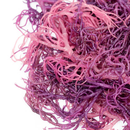 Irish Sea Moss - (Purple) - St. Lucia - NY Spice Shop