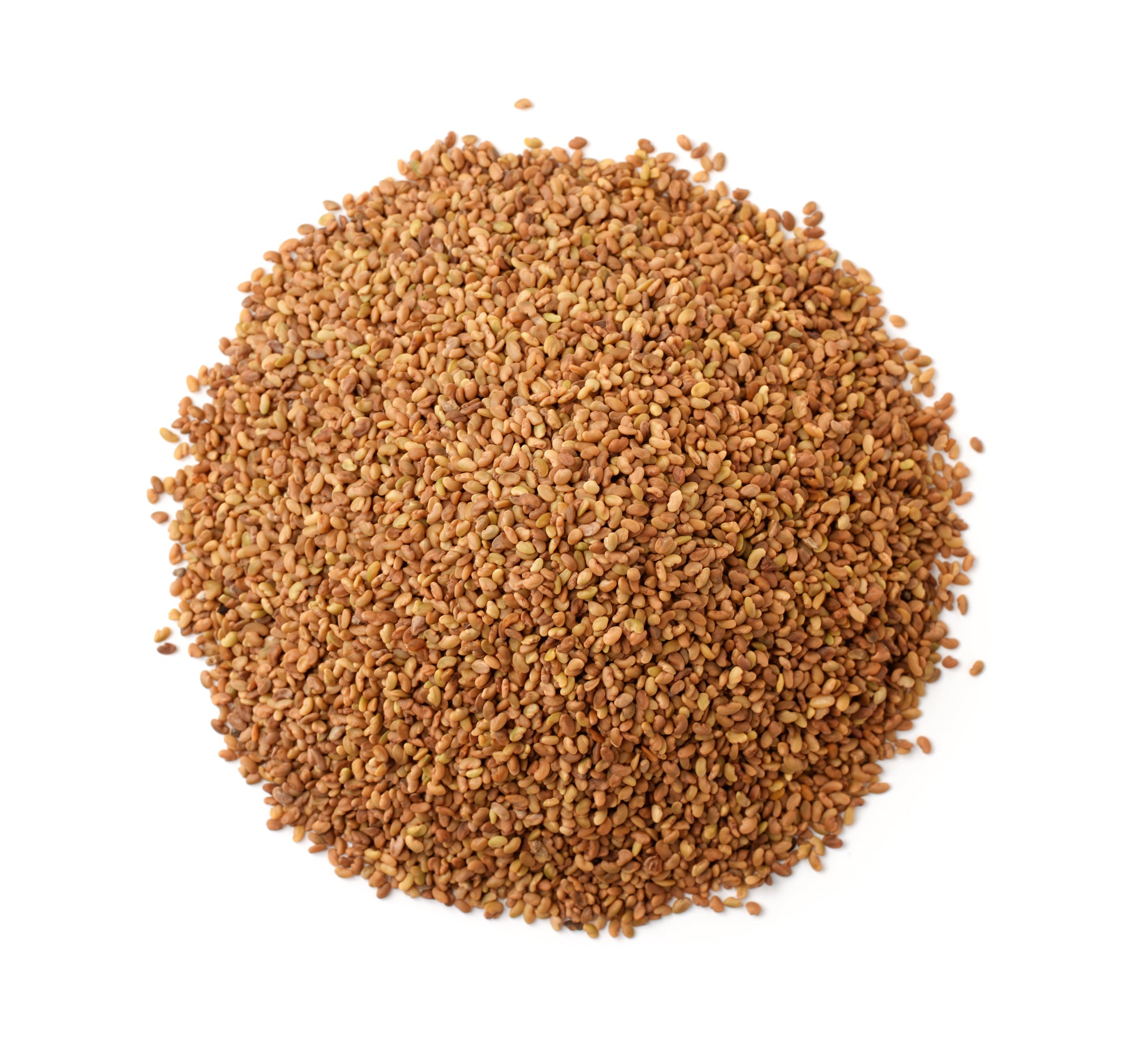 Alfalfa Seed Whole