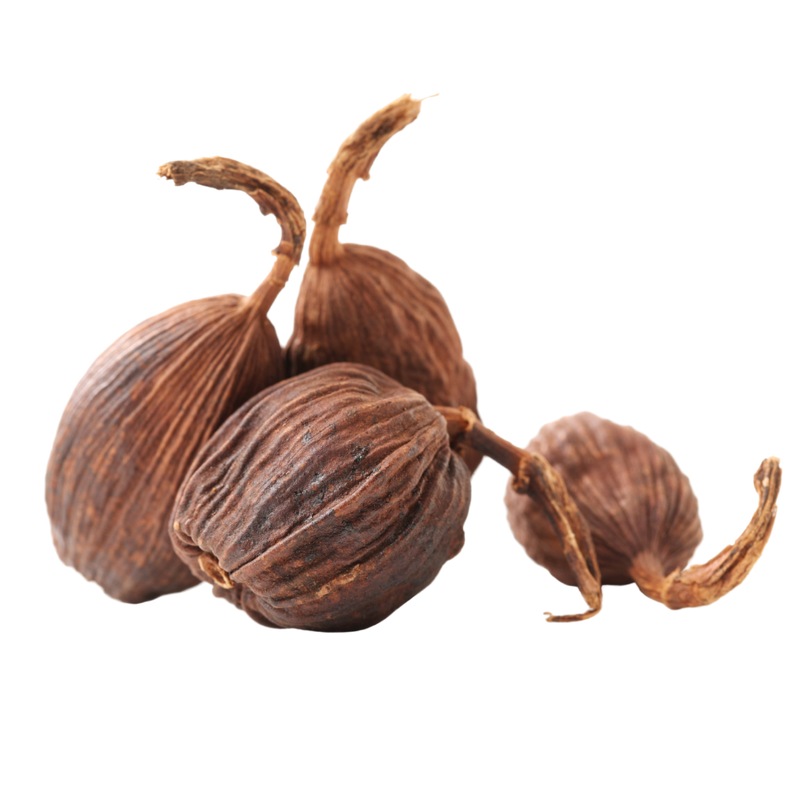 Organic Black Cardamom Pods NY Spice Shop Buy Black Cardamom Pods