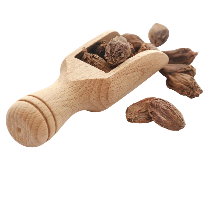 Organic Black Cardamom Pods NY Spice Shop Buy Black Cardamom Pods