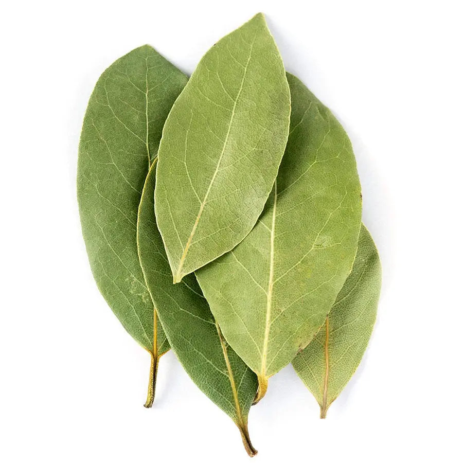 Natural Bay Leaves - NY Spice Shop - Buy Bay Leaves Online