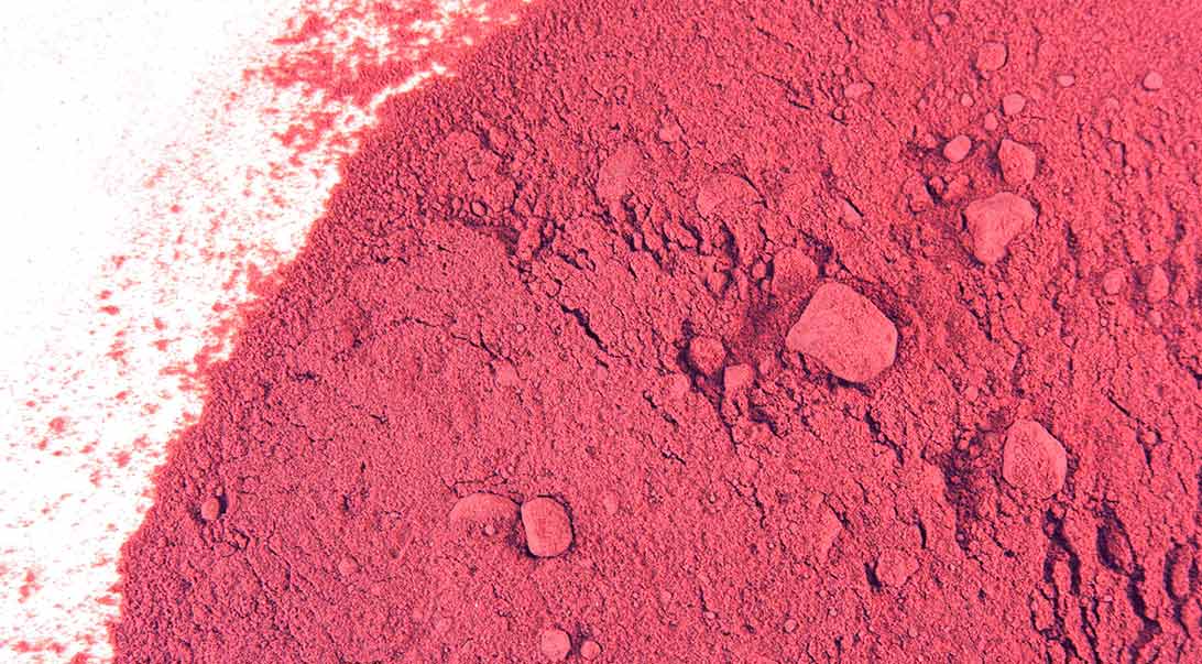 Beet Root Powder - NY Spice Shop