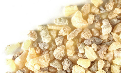 Boswellia Serrata Pieces - NY Spice Shop