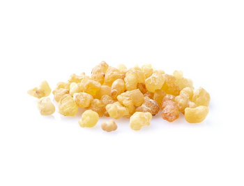 Boswellia Serrata Pieces - NY Spice Shop