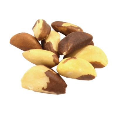 Organic Brazil Nuts -NY Spice Shop - Buy Brazil Nuts Online
