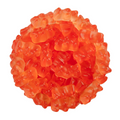 Bubbly Champagne Gummy Bears