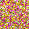 Candy_Fennel_Seeds - NY Spice Shop