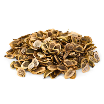 Dill Seed - NY Spice Shop