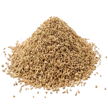 Ajwain seeds - Ajowan Caraway, Thymol Seeds NY SPICE SHOP