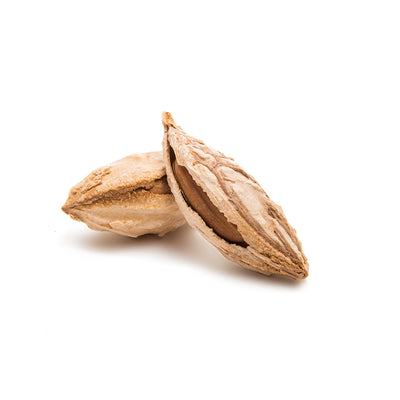 Dried Uzbek Almonds, Satbarbayee Almonds - NY Spice Shop