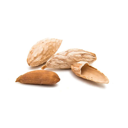 Dried Uzbek Almonds, Satbarbayee Almonds - NY Spice Shop