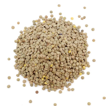 Eston Green Lentil (Eston Lentil) - NY Spice Shop