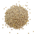 Eston Green Lentil (Eston Lentil) - Salamanca lentils