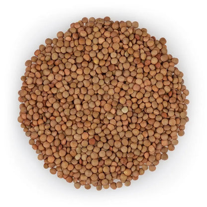 Brown Lentil (Whole Red) - NY Spice Shop 