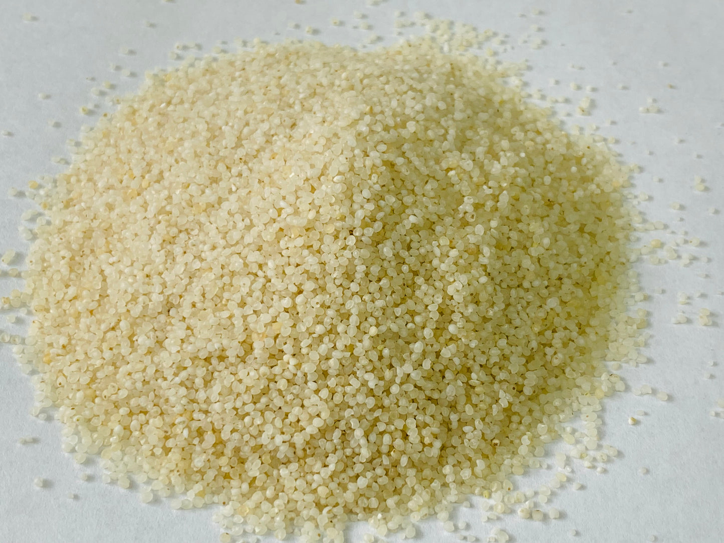 Samo Seeds (Moriya Seeds) - NY Spice Shop