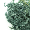 Irish Sea Moss (Green) - St. Lucia - NY Spice Shop