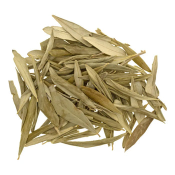 Olive Leaf Whole - (Olea Europaea) - NY Spice Shop 