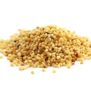 POPPY_SEEDS - NY Spice Shop