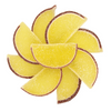 Pineapple Fruit Slices - NY Spice Shop