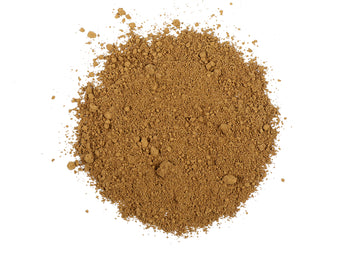 Reishi Mushroom Powder - NY Spice Shop