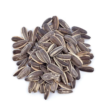 Sunflower Seeds - Roasted Unsalted - NY Spice Shop 