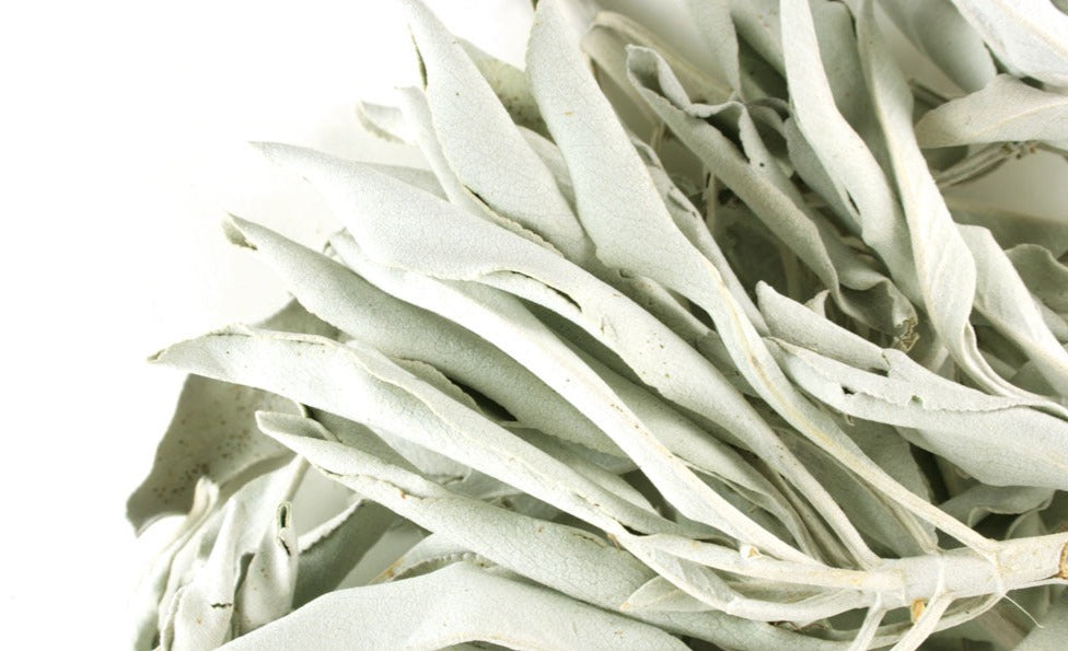 Whole White Sage - Wild Crafted - NY Spice Shop 