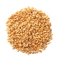 Whole Wheat