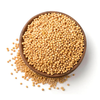 Yellow_Mustard_Seeds_Sarso_Whole - NY Spice Shop
