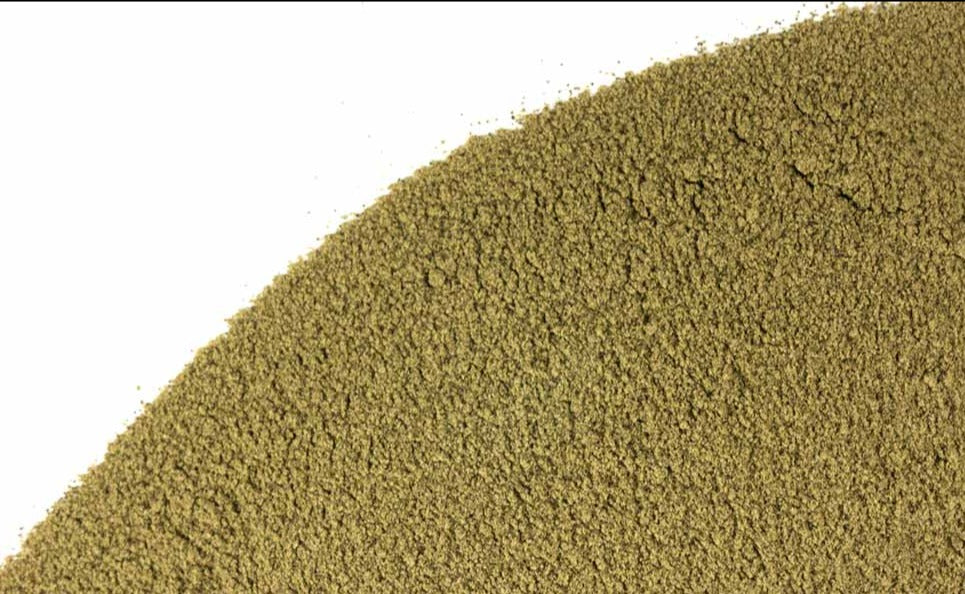 buy mescaline powder online