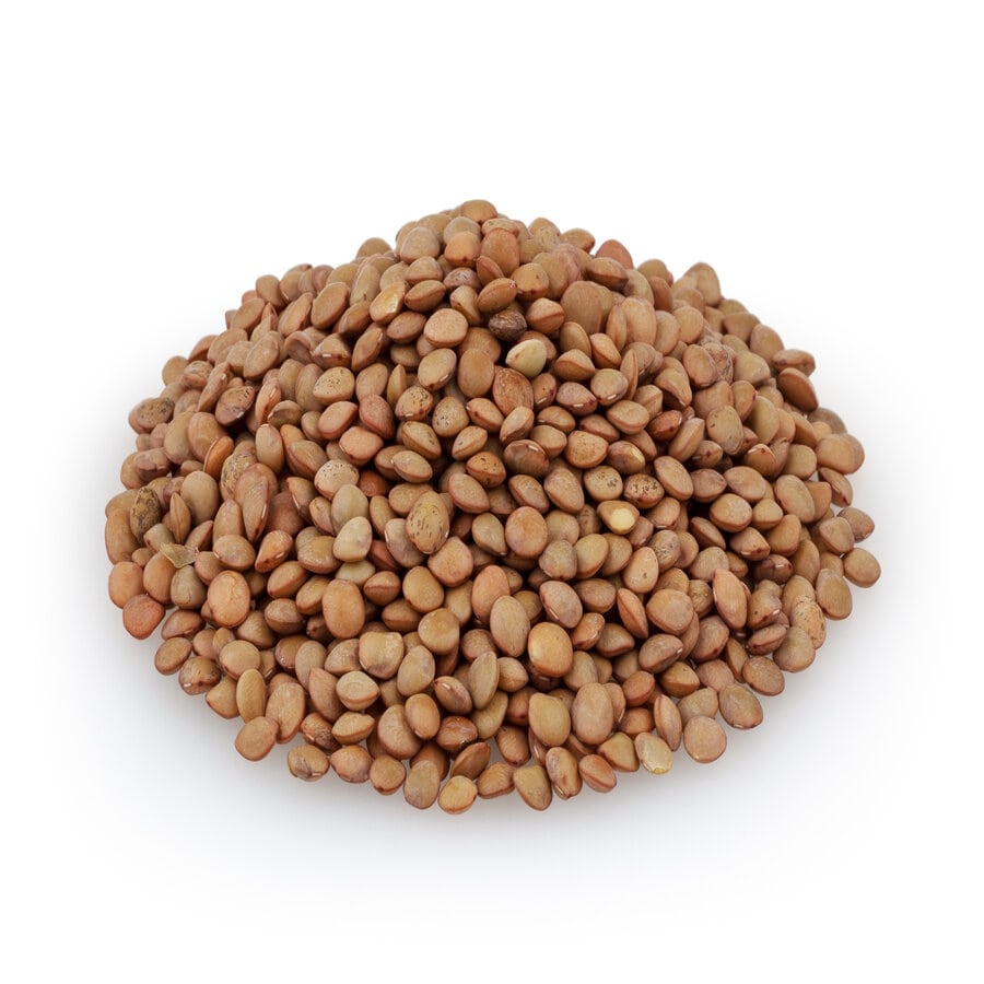 Brown Lentil (Whole Red) - NY Spice Shop 