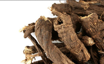 Osha Root Whole - NY Spice Shop