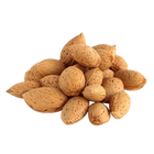 Almonds in Shell, Whole NY SPICE SHOP