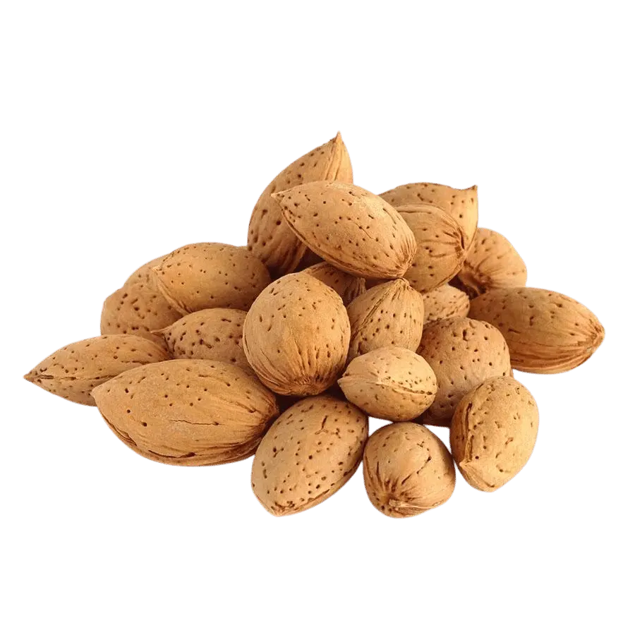 Almonds in Shell, Whole NY SPICE SHOP