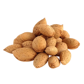 Almonds in Shell, Whole NY SPICE SHOP